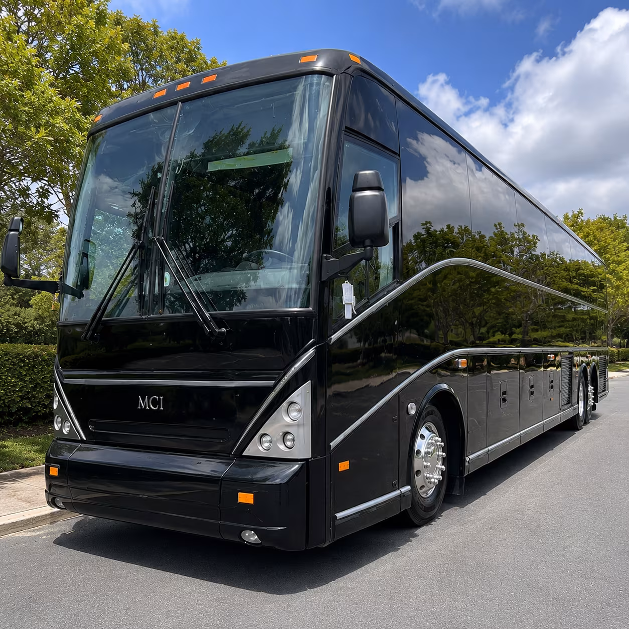 with one form find the right bus for lights before christmas at the toledo zoo